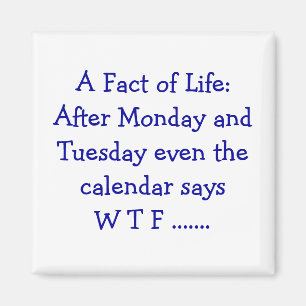 Imã Fato da vida - ímã