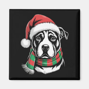 Imã Fato de Natal para Cachorro Pitbull com Chapéu e C