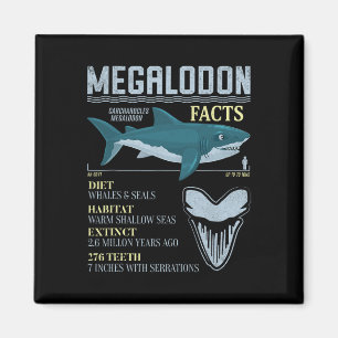 Imã Fatos sobre Megalodon Dente Fóssil de Tubarão Pré-