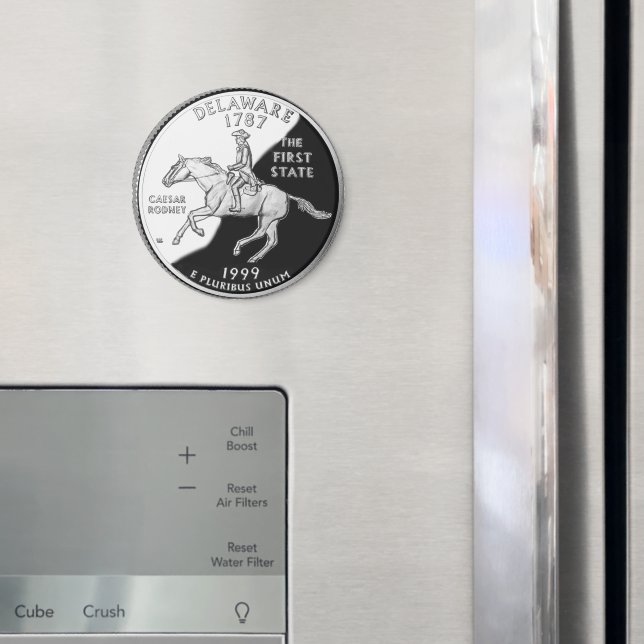 Imã Faux Delaware State Quarter (In Situ (Fridge))