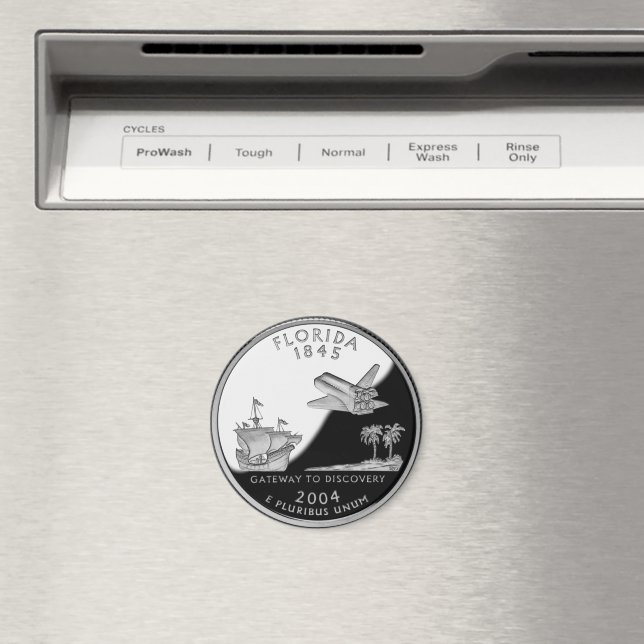 Imã Faux Florida State Quarter (In Situ (Dishwasher))
