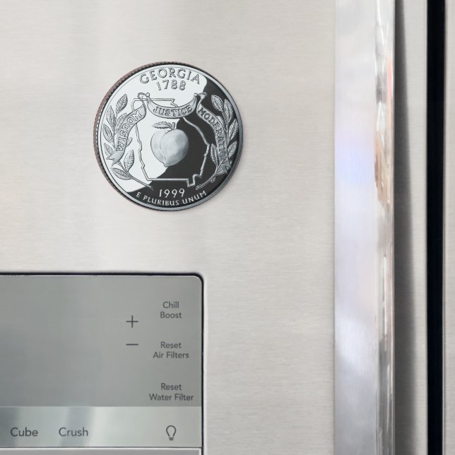 Imã Faux Georgia State Quarter (In Situ (Fridge))
