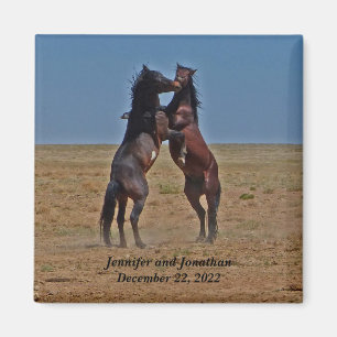 Imã Favor do Partido dos Cavalos Dançantes