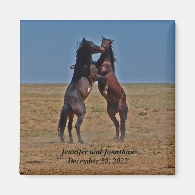 Imã Favor do Partido dos Cavalos Dançantes (Frente)