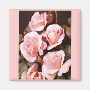 Imã Favoritos do chá de panela