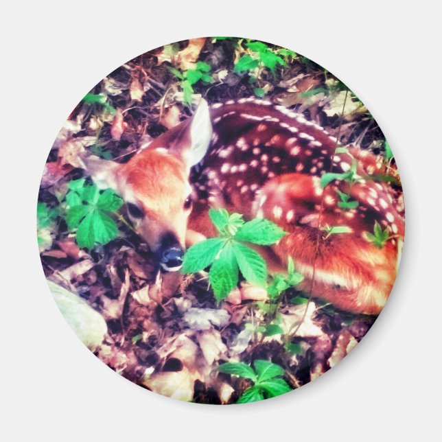 IMÃ FAWN MAGNET (Frente)