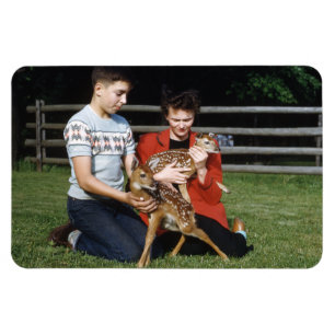 Ímã Fawns, Bebê Veado