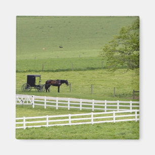 Imã Fazenda Amish com cavalo e charrete perto de Berli