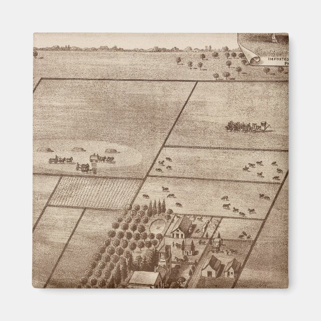 Imã Fazenda Bertch (Frente)