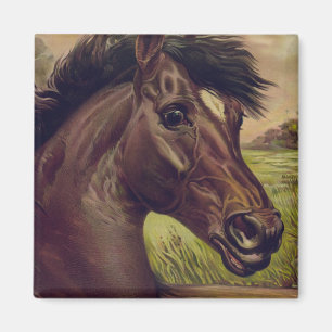 Imã Fazenda De Cavalo País De Animais De Pet Cute Vint