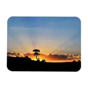 Ímã Fazenda Londrina do por do sol