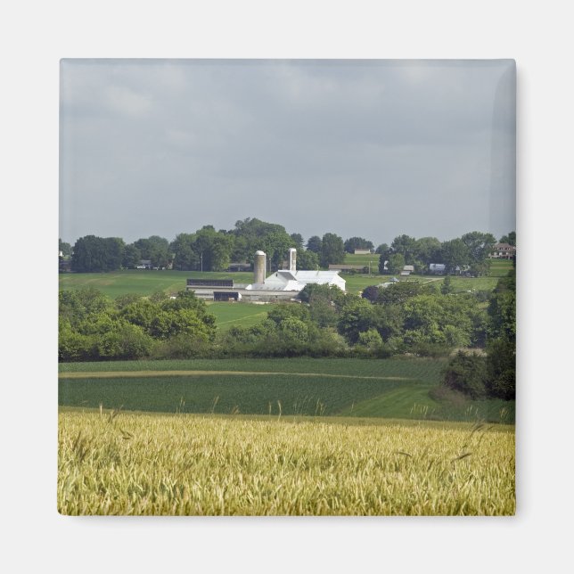 Imã Fazenda rural (Frente)