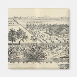 Imã fazenda T Winters