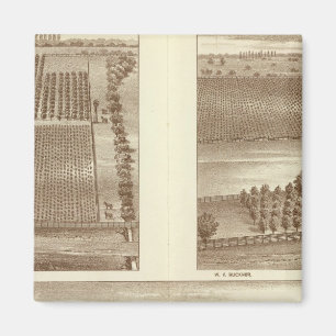 Imã Fazendas de Lemoore