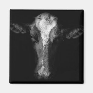 Imã Fazendas Foto Da Cabeça De Vaca B&W
