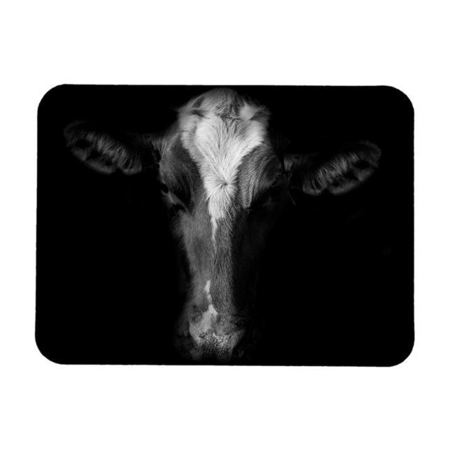 Ímã Fazendas | Foto Da Cabeça De Vaca B&W (Horizontal)