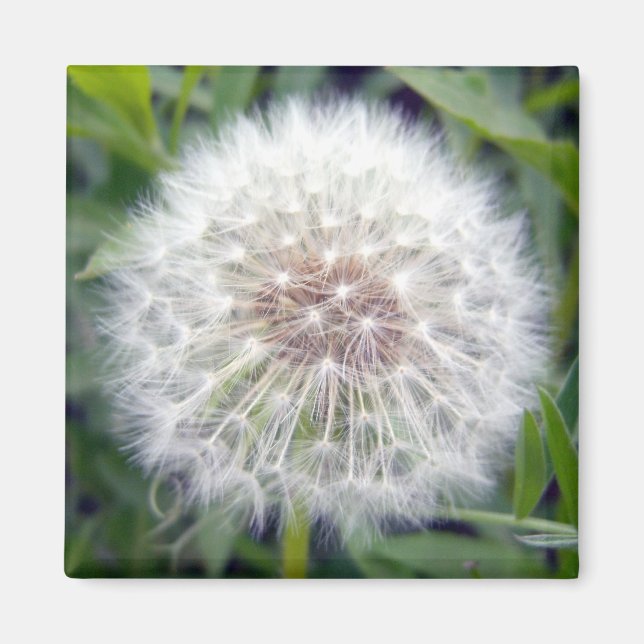 Imã Fazer Um Magneto De Desejo (Frente)