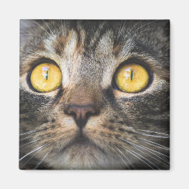 Imã Fechamento de Gato com Olhos Amarelos