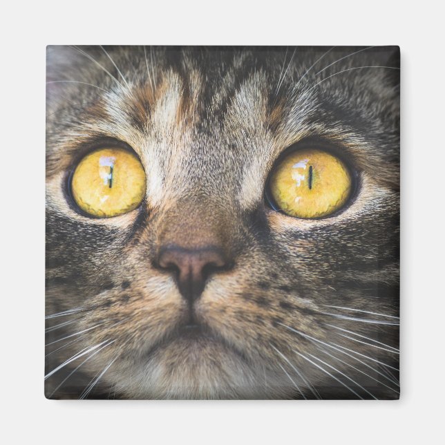 Imã Fechamento de Gato com Olhos Amarelos (Frente)