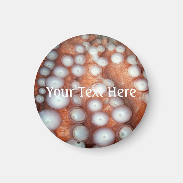 Imã Fechar polvo (Frente)