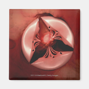 Imã Feche acima da vista da válvula tricuspid no