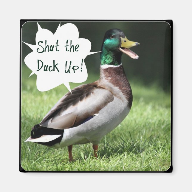 Imã Feche o ímã Duck Up (Frente)