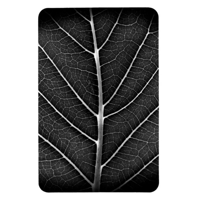 Ímã Fecho de folhas brilhantes a preto e branco (Vertical)