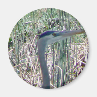 Imã Fecho e pessoal