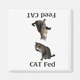 Imã FeedTheCat