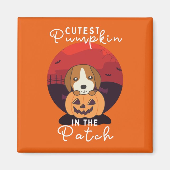 Imã Feijão Em Cães De Abóbora Pumpkin Pumpkin No Patch (Frente)