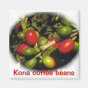 Imã Feijões de café de Kona