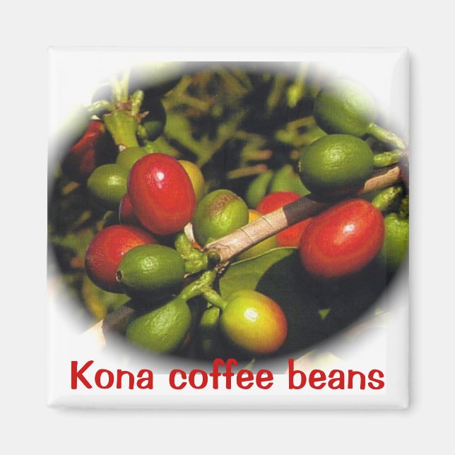 Imã Feijões de café Kona (Frente)