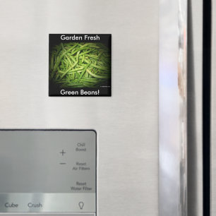 Imã Feijões verdes em destaque