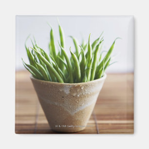 Imã Feijões verdes no pote na superfície de bambu