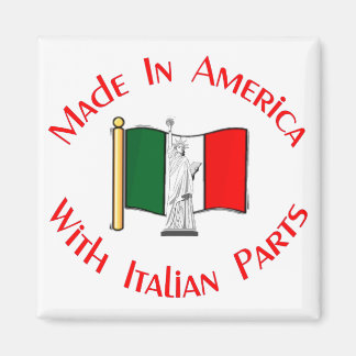 Imã Feito em americano com o Magnet de Partes Italiana