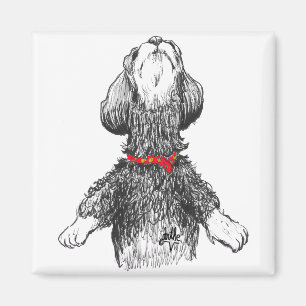 Imã Felicidade de Havanese - filhote de cachorro da
