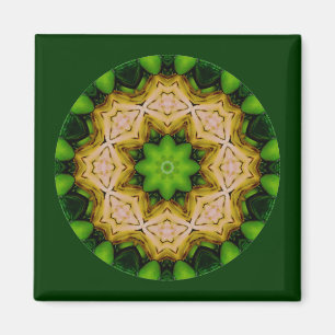 Imã Felicidade e feriados_