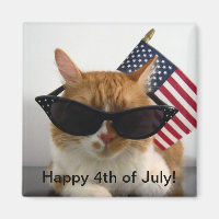 Feliz 4 de julho Legal Gato com Bandeira