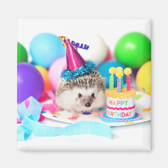 Imã Feliz aniversário de Hedgehog! (Frente)