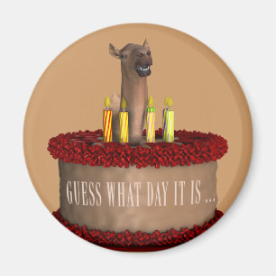 Imã Feliz Aniversário Engraçado Camel