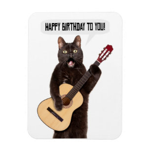 Ímã Feliz Aniversário Gato Cantando e Tocando Guitarr