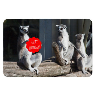 Ímã Feliz Aniversário Katta