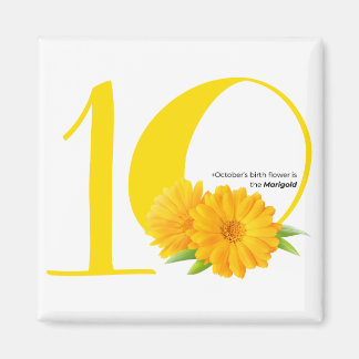 Imã feliz aniversário: Marigold, flor de nascimento de