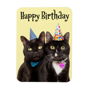 Ímã Feliz Aniversário Para Qualquer Um Dois Gatos Em C