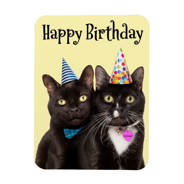 Ímã Feliz Aniversário Para Qualquer Um Dois Gatos Em C (Vertical)
