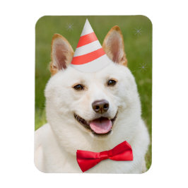 Ímã Feliz Aniversário, Qualquer Um Shiba Inu Cachorro