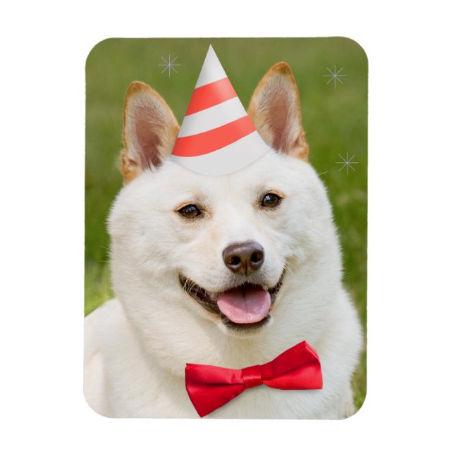 Ímã Feliz Aniversário, Qualquer Um Shiba Inu Cachorro  (Vertical)