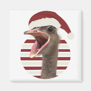 Imã Feliz avestruz Natal Com Papai Noel