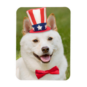 Ímã Feliz dia 4 de julho, Shiba Inu Dog em Chapéu
