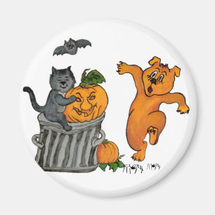 Imã Feliz Dia das Bruxas! 5